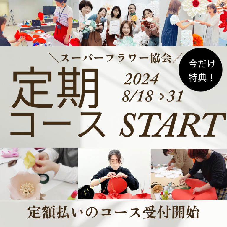 新・定期コースがはじまります