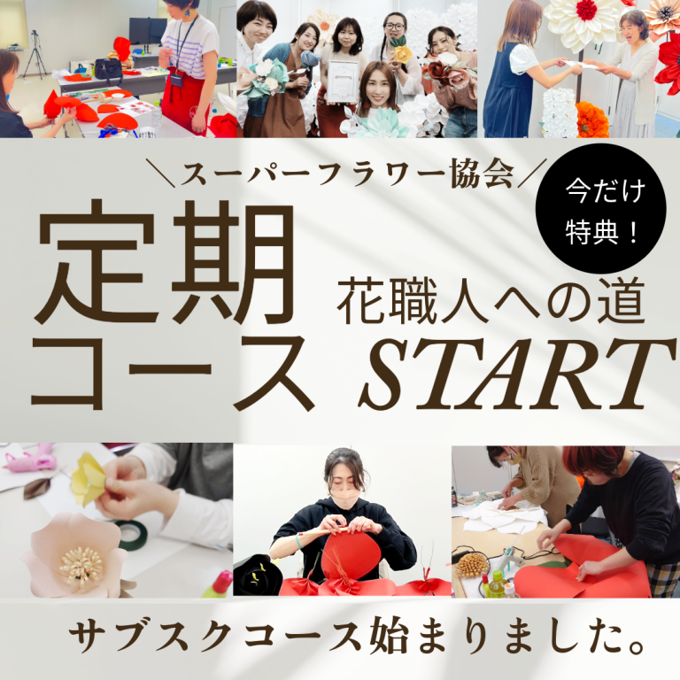 新・定期コース9月キャンペーン！